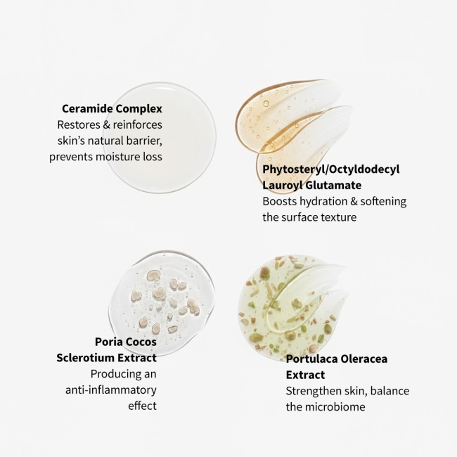 Ceramide Barrier Repair Cream 50ml